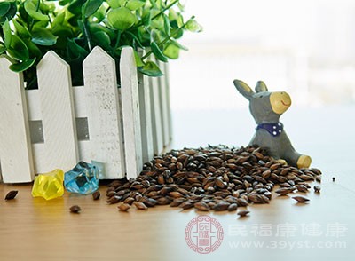 大麦茶的功效 常喝这种茶可以消除口臭(2